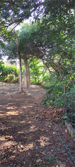 Foto REO1088687