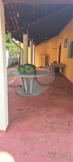 Foto REO1088687