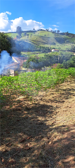 Foto REO1088687