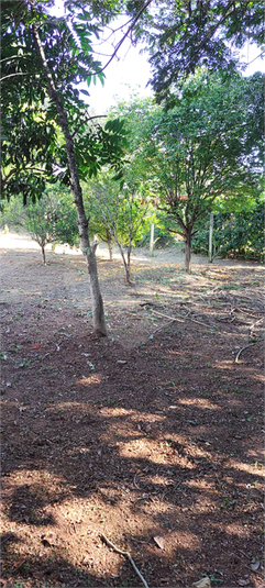 Foto REO1088687