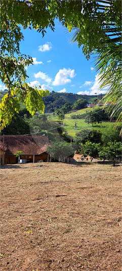 Foto REO1088687