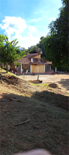 Foto REO1088687