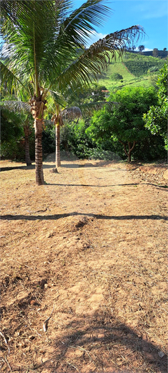 Foto REO1088687