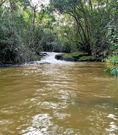 Foto REO1088691