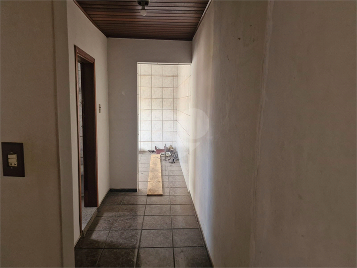 Foto REO1088693