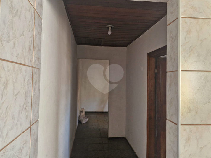 Foto REO1088693