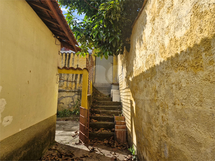 Foto REO1088693