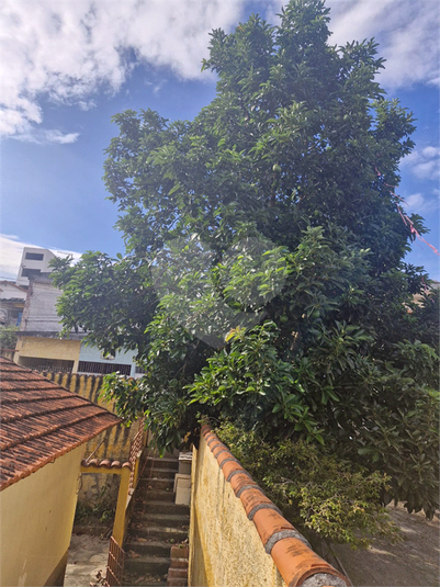 Foto REO1088693