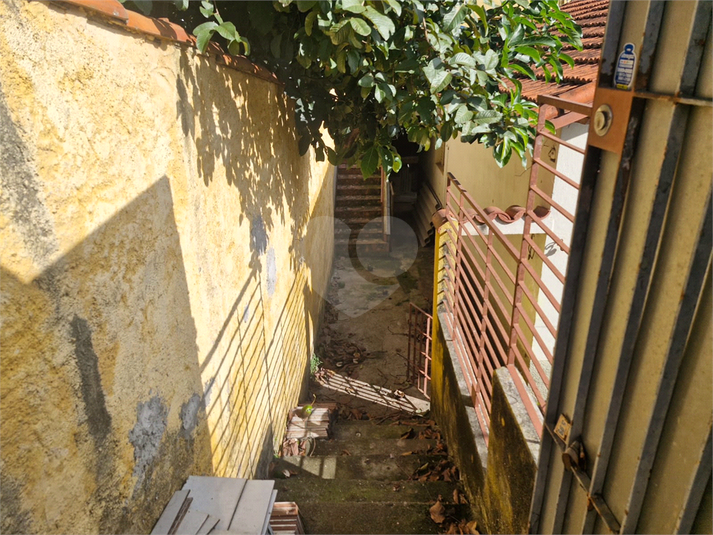 Foto REO1088693