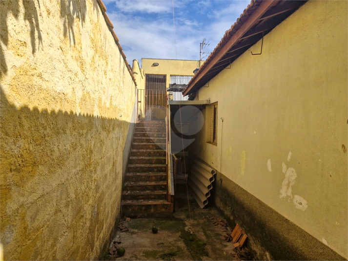 Foto REO1088693