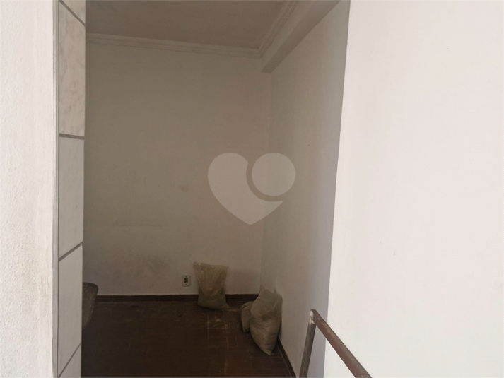 Foto REO1088693