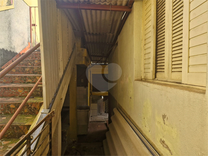 Foto REO1088693
