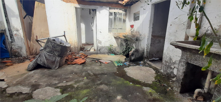Foto REO1088711