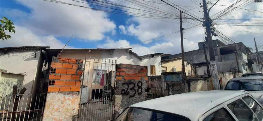 Foto REO1088711