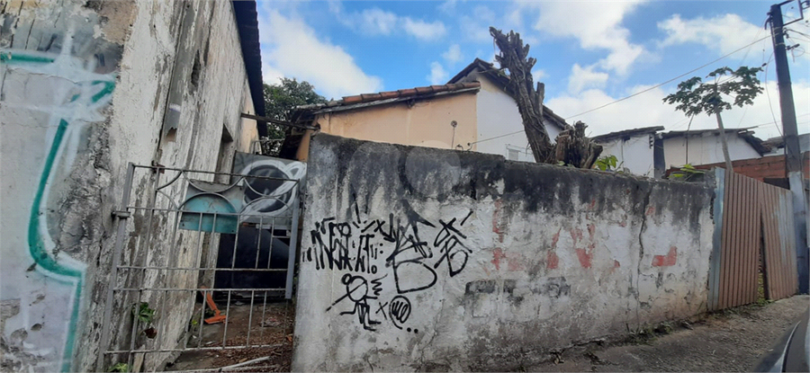 Foto REO1088711