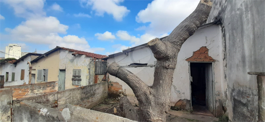 Foto REO1088711