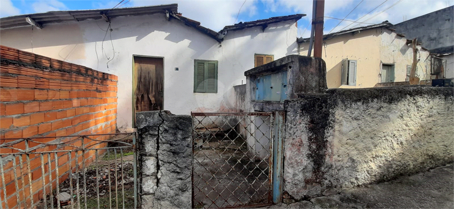 Foto REO1088711
