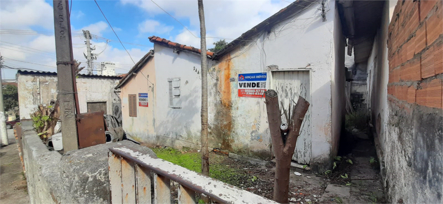 Foto REO1088711