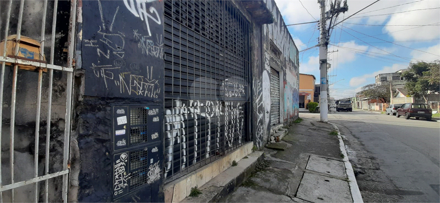 Foto REO1088711