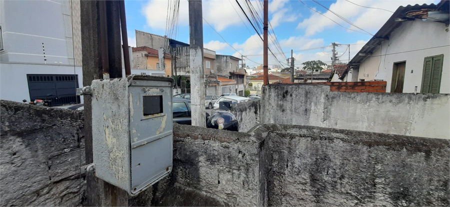Foto REO1088711