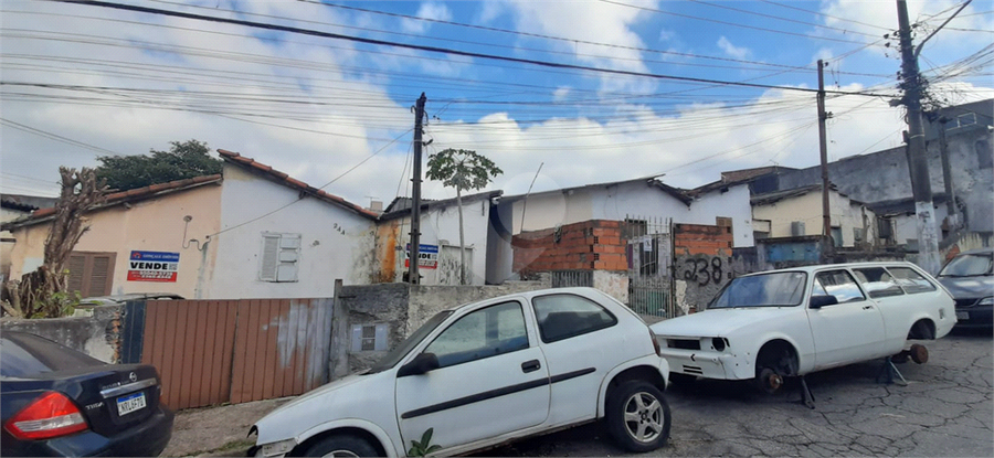 Foto REO1088711