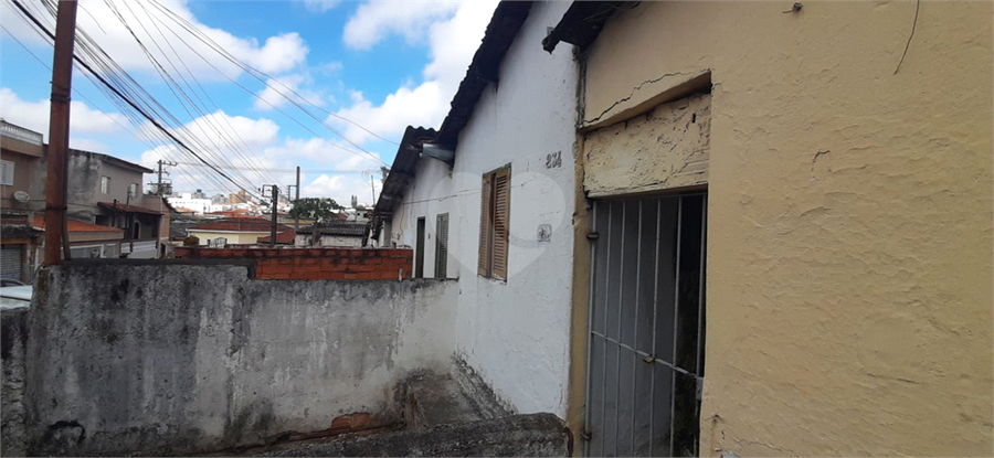 Foto REO1088711