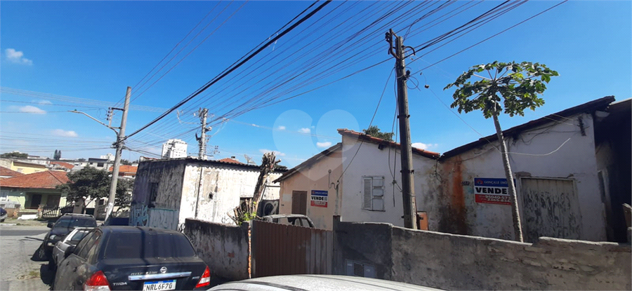 Foto REO1088711