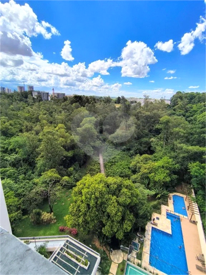 Foto REO1088712