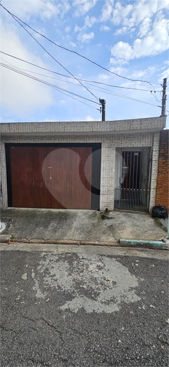 Foto REO1088713