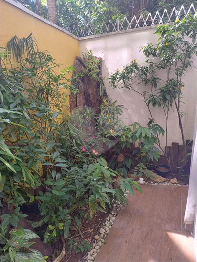 Foto REO1088715
