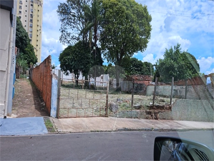 Foto REO1088719