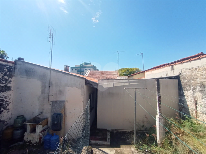 Foto REO1088725