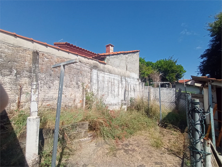 Foto REO1088725