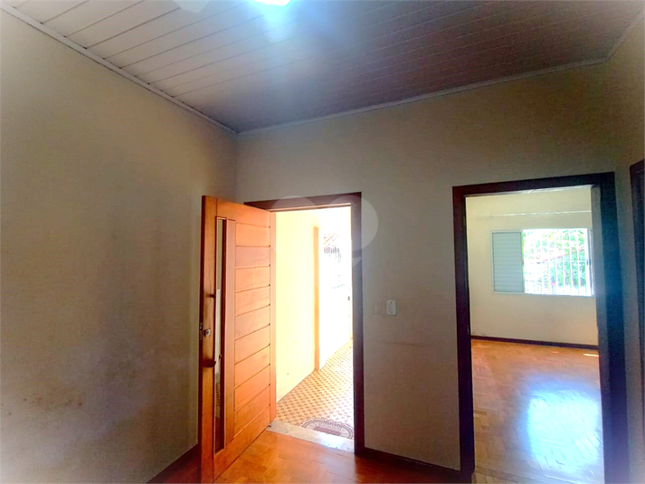 Foto REO1088725