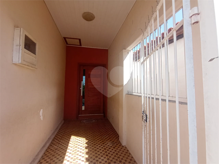 Foto REO1088725