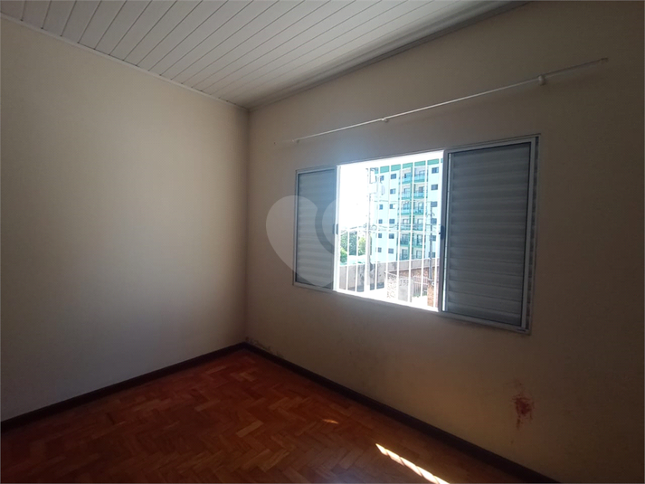 Foto REO1088725