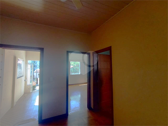 Foto REO1088725