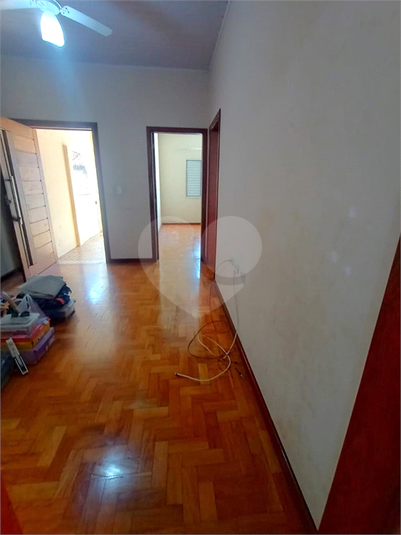 Foto REO1088725