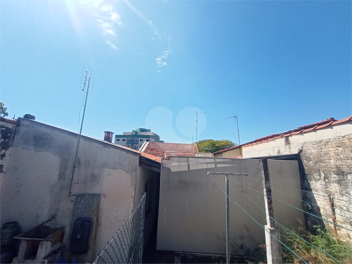 Foto REO1088725