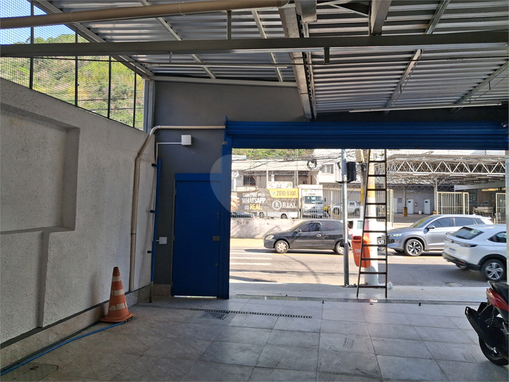 Foto REO1088733