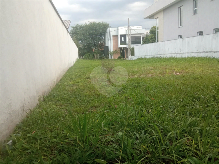 Foto REO1088735