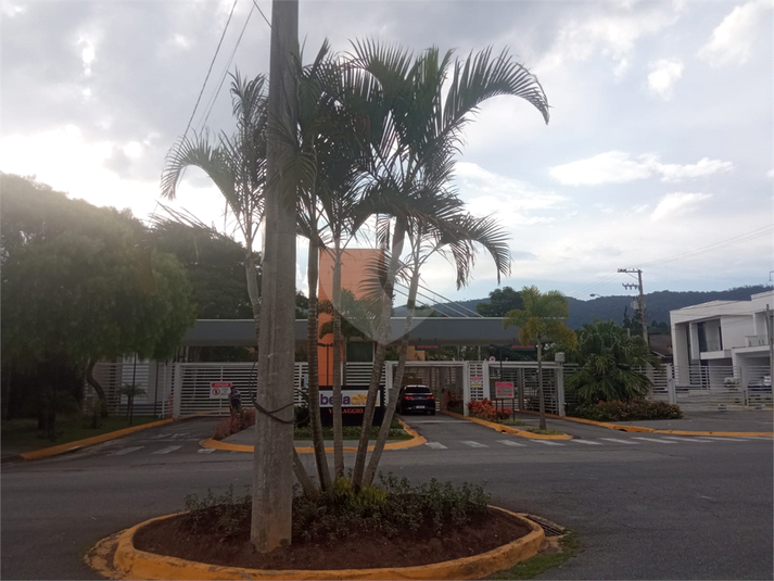 Foto REO1088735