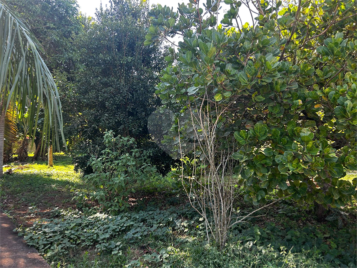 Foto REO1088742