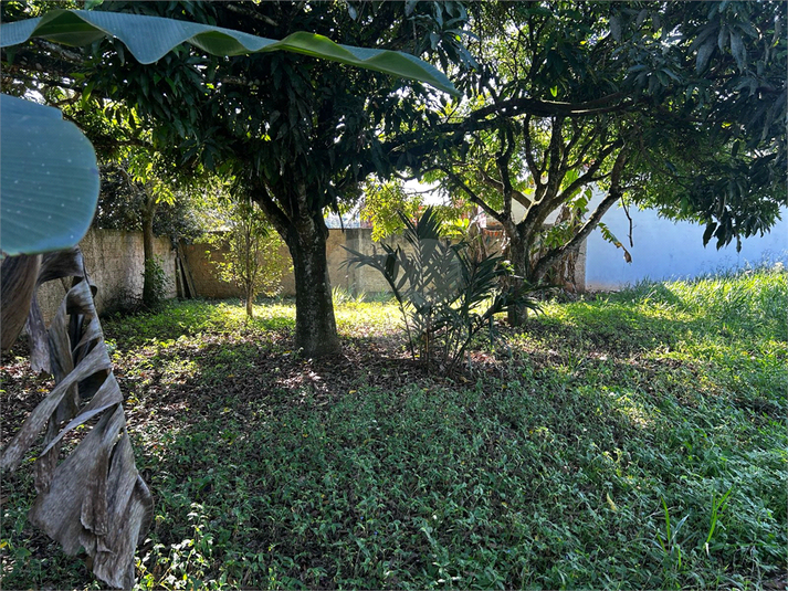 Foto REO1088742