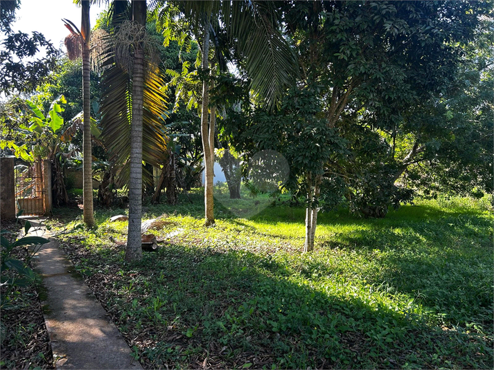 Foto REO1088742