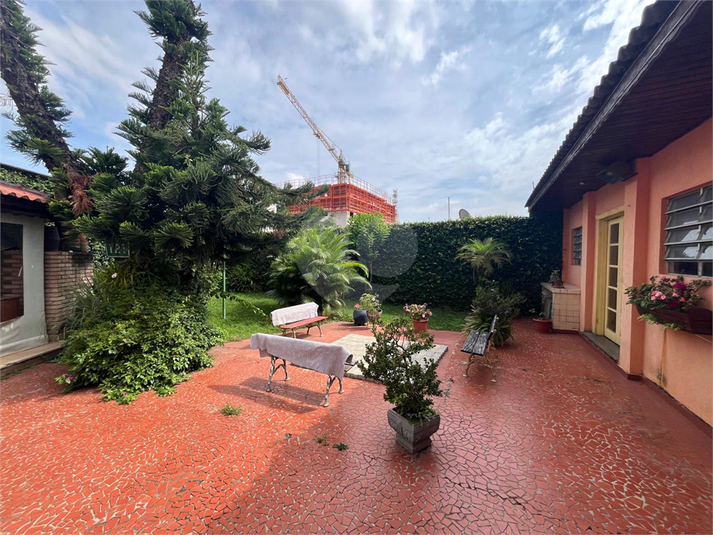 Foto REO1088743