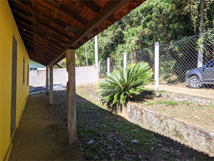 Foto REO1088755