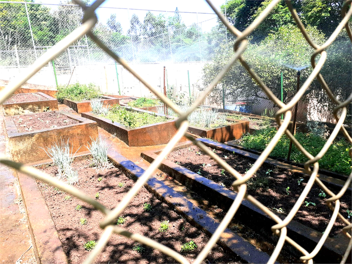 Foto REO1088761