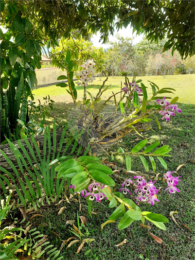Foto REO1088761