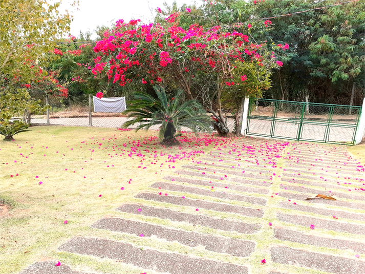 Foto REO1088761